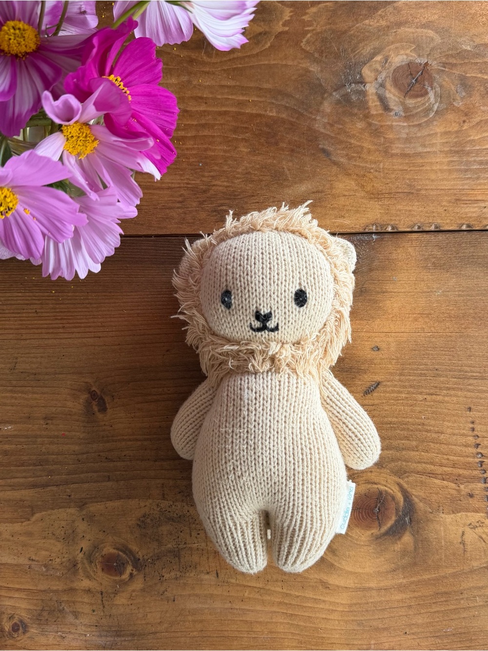 Cuddle and kind baby lion